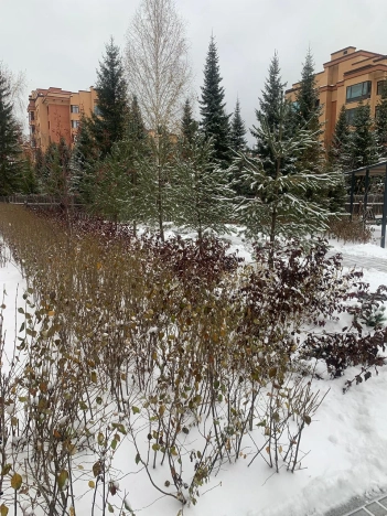 Купить трехкомнатную квартиру на улице Жилмассив в Новосибирской области. Вариант № 9091177, 15, площадь -  квм, цена 15000000 рублей