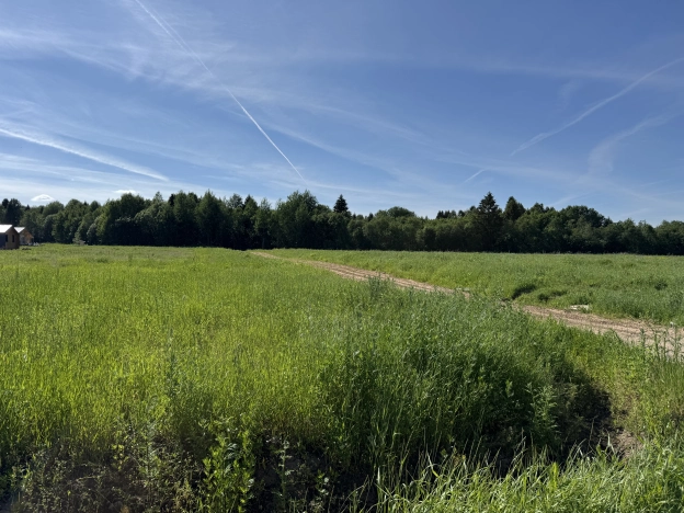 Купить земельный участок в Вологодской области. Вариант № 17393, 3, площадь -  квм, цена 630000 рублей