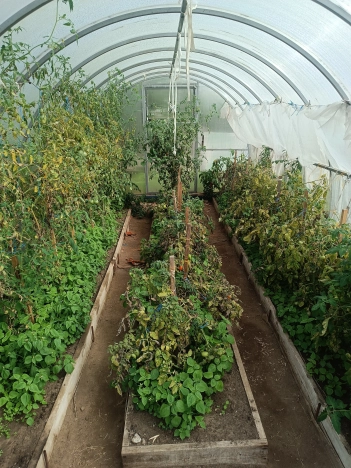 Купить дачу в Воскресенске. Вариант № 2974412, 16, площадь -  квм, цена 830000 рублей