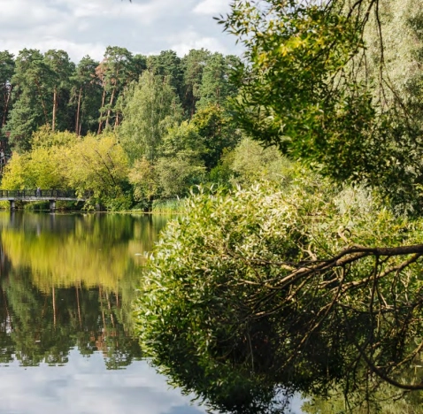 Купить квартиру в ЖК Sky Garden в Москве. Вариант № 806267, 47, площадь -  квм, цена 14200000 рублей