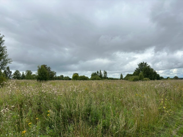 Купить земельный участок на улице Вознесенская в Ивановской области. Вариант № 29315, 14, площадь -  квм, цена 270000 рублей