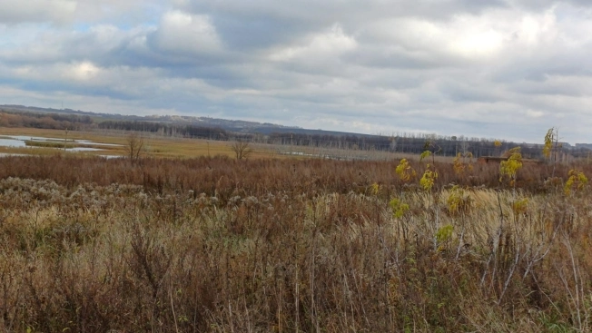 Купить земельный участок в Тульской области. Вариант № 8381509, 2, площадь -  квм, цена 900000 рублей