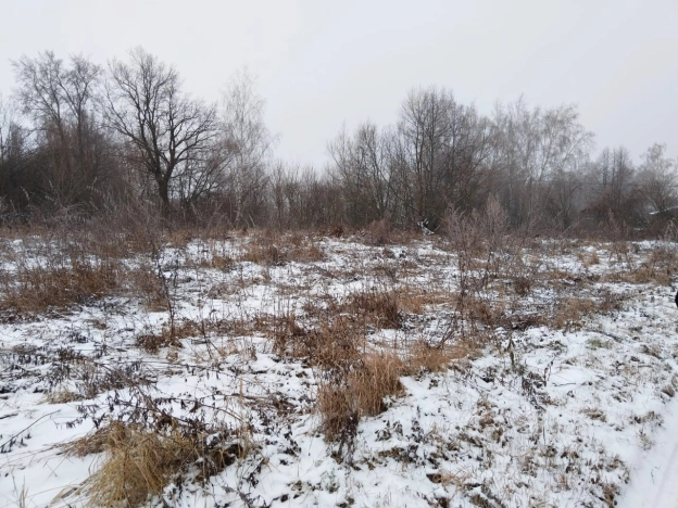Купить земельный участок в Тульской области. Вариант № 19500, 6, площадь -  квм, цена 495000 рублей