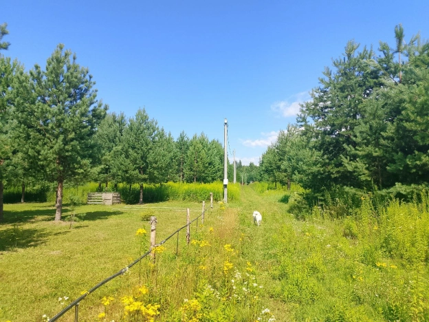 Купить земельный участок в Нижнем Новгороде. Вариант № 7608556, 5, площадь -  квм, цена 1300000 рублей