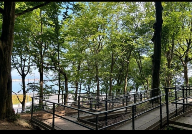 Снять квартиру в Калининградской области. Вариант № 4030648, 12, площадь - квм, цена 25000 рублей