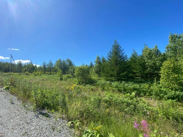 Купить земельный участок в Южно-Сахалинске. Вариант № 47936, 4, площадь -  квм, цена 800000 рублей