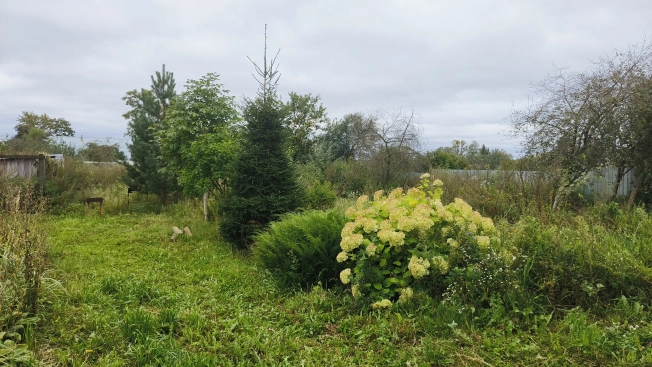 Купить дом в Орехово-Зуеве. Вариант № 3650122, 36, площадь -  квм, цена 6900000 рублей