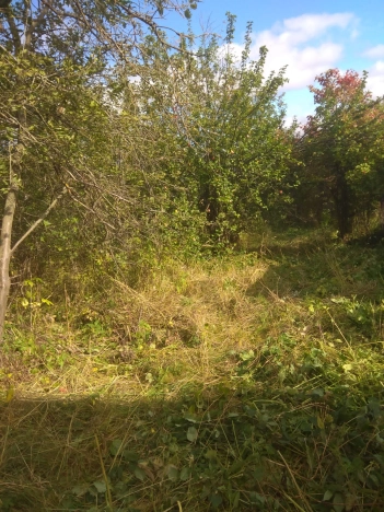 Купить дом в Лакинске. Вариант № 3340, 13, площадь -  квм, цена 980000 рублей