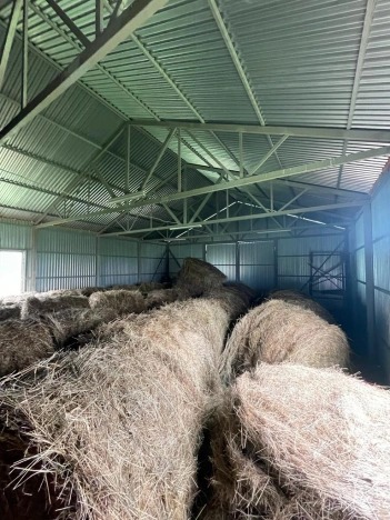 Купить дом в Смоленской области. Вариант № 8437, 38, площадь -  квм, цена 17999000 рублей