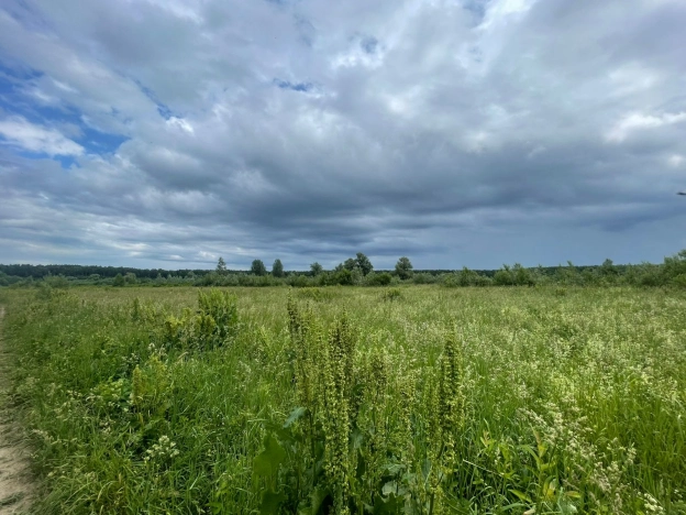 Купить земельный участок в Новосибирске. Вариант № 50415, 4, площадь -  квм, цена 350000 рублей