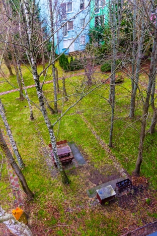 Купить Студию в Калининградской области. Вариант № 12091, 34, площадь -  квм, цена 9500000 рублей