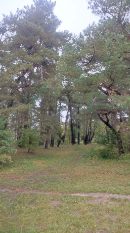 Купить таунхаус в Калининграде. Вариант № 4451, 6, площадь -  квм, цена 11500000 рублей