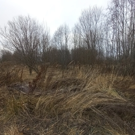 Купить земельный участок в Владимире. Вариант № 9819626, 0, площадь -  квм, цена 500000 рублей