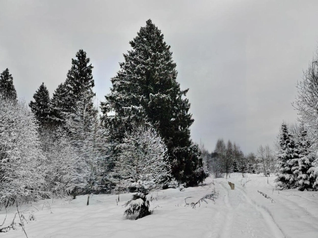 Купить дом в Пушкине. Вариант № 38369, 37, площадь -  квм, цена 9650000 рублей