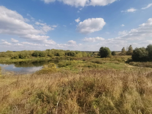 Купить дом на улице Речная в Суздале. Вариант № 13871, 34, площадь -  квм, цена 5900000 рублей