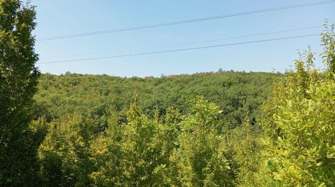 Купить земельный участок на улице Центральная в Новороссийске. Вариант № 11904, 1, площадь -  квм, цена 634000 рублей