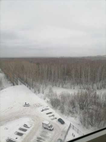 Купить трехкомнатную квартиру в Новосибирской области. Вариант № 10337756, 7, площадь -  квм, цена 6400000 рублей