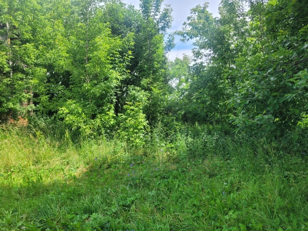 Купить земельный участок на улице Городцова в Рязанской области. Вариант № 29257, 4, площадь -  квм, цена 400000 рублей