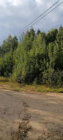 Купить земельный участок в Республике Коми. Вариант № 2015344, 4, площадь -  квм, цена 560000 рублей