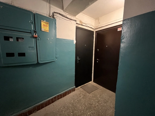 Купить двухкомнатную квартиру на улице Димитрова в Воронеже. Вариант № 35482, 14, площадь -  квм, цена 4950000 рублей