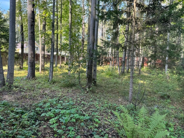 Купить дом в Москве. Вариант № 14296, 22, площадь - квм, цена 11300000 рублей