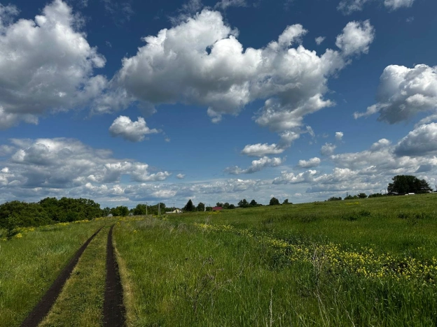 Купить земельный участок в Пензенской области. Вариант № 48695, 1, площадь -  квм, цена 280000 рублей