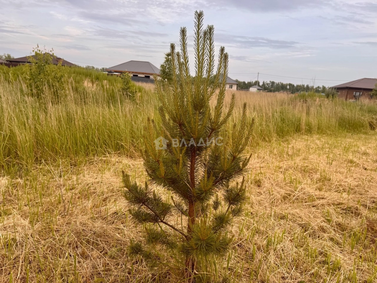 Photo https://36000382-a1c2-4a8a-a109-3fc3bfc73cf7.selcdn.net/App/Entity/ObjectRealty/ObjectRealty/CJ/684f2321-70c0-490e-a077-c94aab37740a/6uCOiLDU3w6lxO8OlVy52ybB0iwJdaYZhwAVIVi4.jpg.compressed.webp