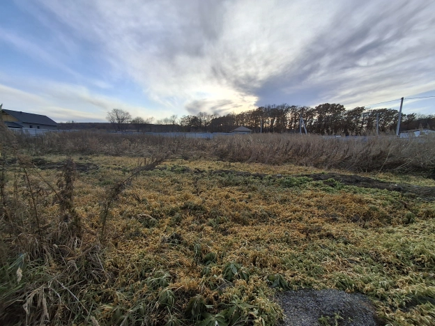 Купить земельный участок в Уссурийске. Вариант № 8835135, 3, площадь -  квм, цена 4000000 рублей