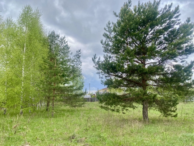 Купить дом на улице Спортивная в Пензенской области. Вариант № 52505, 14, площадь - квм, цена 21128800 рублей