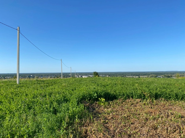 Купить земельный участок в Вязниках. Вариант № 606568, 2, площадь -  квм, цена 290000 рублей