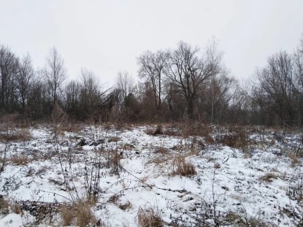 Купить земельный участок в Тульской области. Вариант № 19500, 5, площадь -  квм, цена 495000 рублей