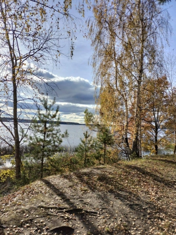 Купить земельный участок на улице 1 Мая в Нижегородской области. Вариант № 18655, 6, площадь -  квм, цена 2650000 рублей