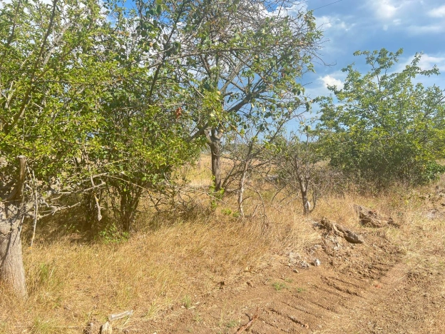 Купить земельный участок в Керчи. Вариант № 14079, 1, площадь -  квм, цена 1600000 рублей