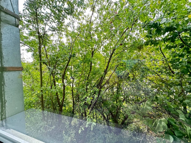 Купить квартиру в Светлогорске. Вариант № 7184112, 5, площадь -  квм, цена 8400000 рублей