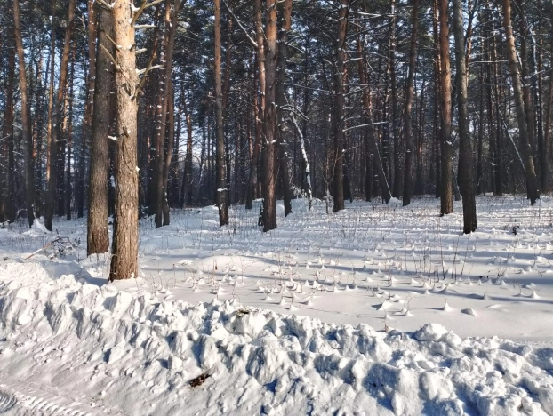 Купить земельный участок в Кемерове. Вариант № 28051, 7, площадь -  квм, цена 250000 рублей