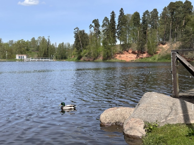 Купить земельный участок в Новгородской области. Вариант № 44811, 7, площадь -  квм, цена 6600000 рублей