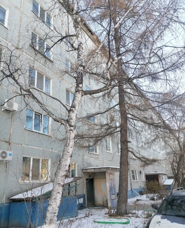 Купить квартиру на улице Шимановского в Благовещенске. Вариант № 9795006, 2, площадь -  квм, цена 8000000 рублей