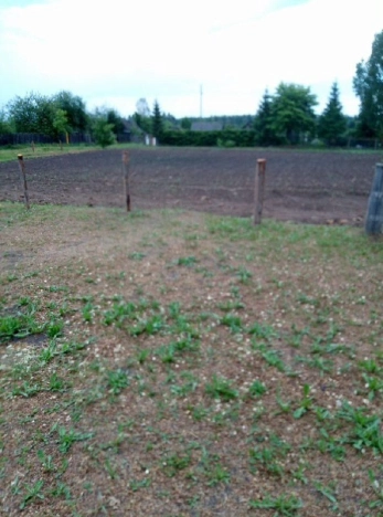 Купить земельный участок в Тобольске. Вариант № 9198803, 2, площадь -  квм, цена 330000 рублей