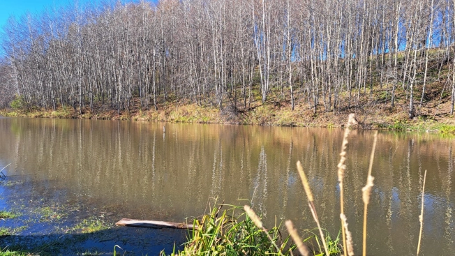 Купить земельный участок в Новосибирске. Вариант № 5922136, 14, площадь -  квм, цена 1450000 рублей
