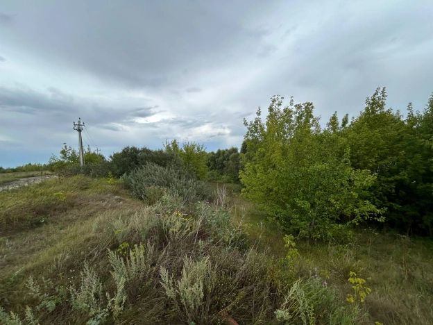 Купить земельный участок в Пензе. Вариант № 11723, 8, площадь -  квм, цена 5490000 рублей