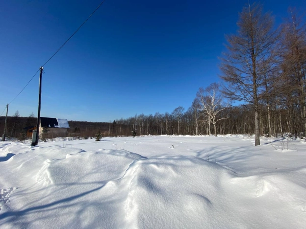 Купить земельный участок на улице Берёзовый переулок в Южно-Сахалинске. Вариант № 22483, 1, площадь - квм, цена 2100000 рублей