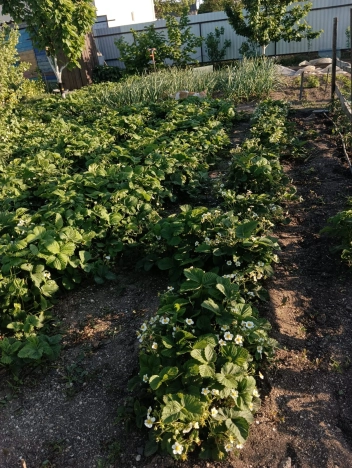 Купить дом на улице Гранатовая в Краснодарском крае. Вариант № 8530465, 27, площадь -  квм, цена 3100000 рублей