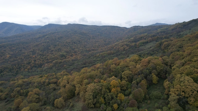 Купить земельный участок в Республике Адыгея (адыгея). Вариант № 10340419, 8, площадь -  квм, цена 7500000 рублей