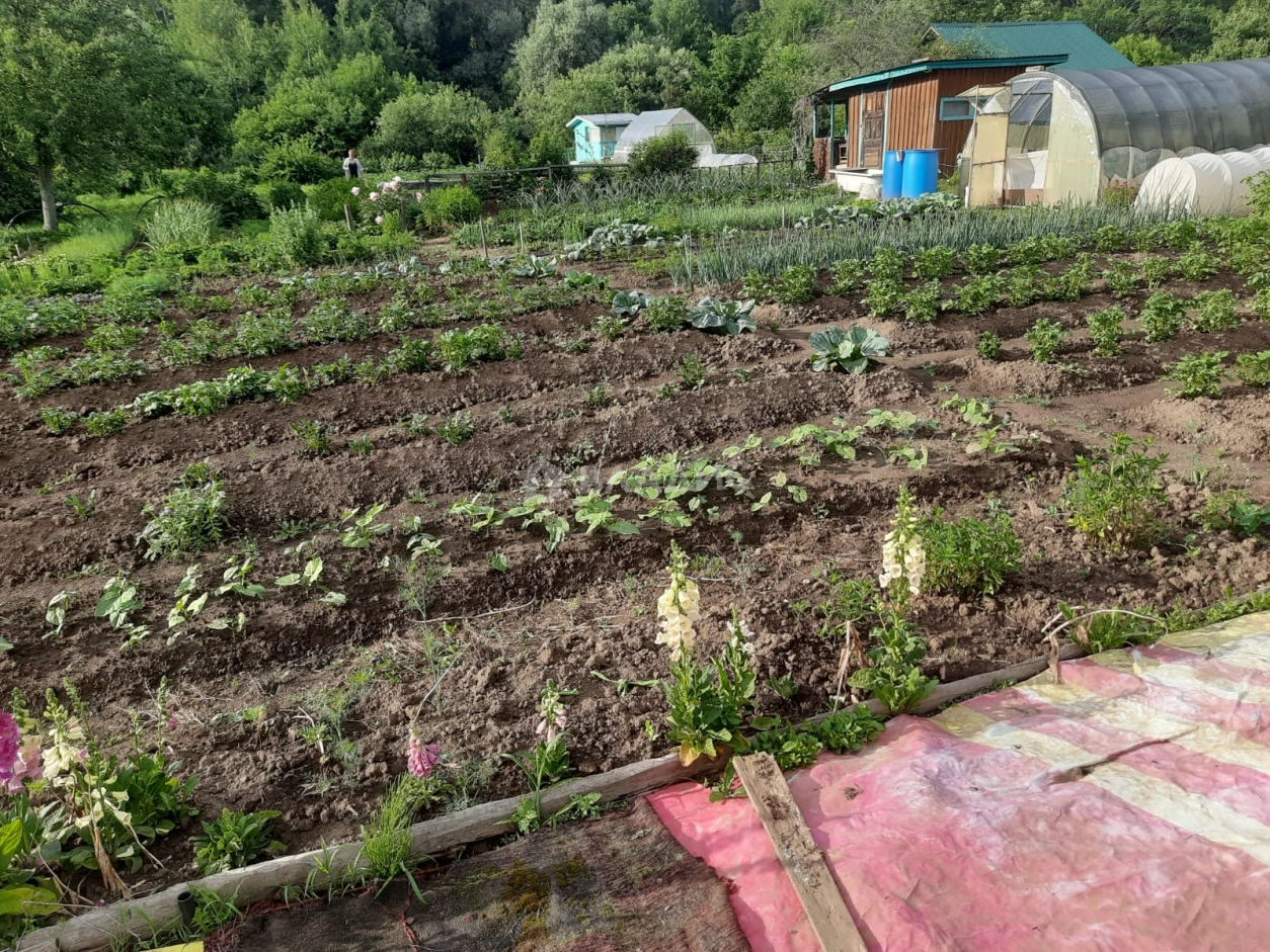 Photo https://36000382-a1c2-4a8a-a109-3fc3bfc73cf7.selcdn.net/App/Entity/ObjectRealty/ObjectRealty/CM/cc111e78-e33f-4c8f-b050-ab3a7718d3a7/CZlG6uwAlWhENkA1sRhnyBvD0jqGzquhFxhHteHi.jpg.compressed.webp