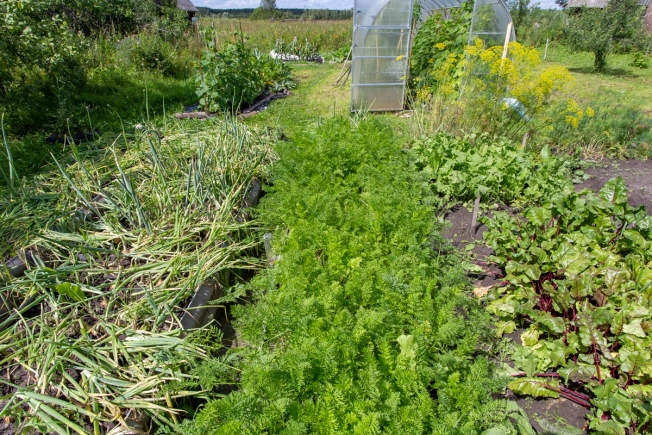 Купить дом в Судогде. Вариант № 2743, 30, площадь -  квм, цена 3200000 рублей