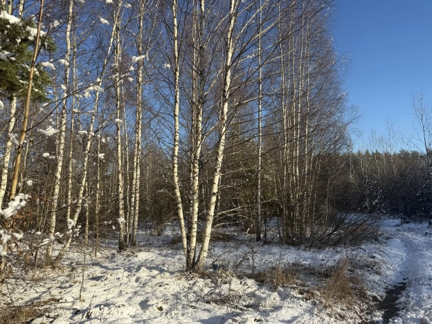 Купить земельный участок в Владимире. Вариант № 9621766, 4, площадь -  квм, цена 1500000 рублей