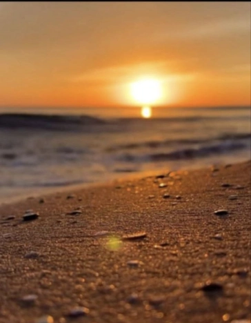 . Вариант № 1933836, 12, площадь - 43.9 квм, цена 4850000 рублей