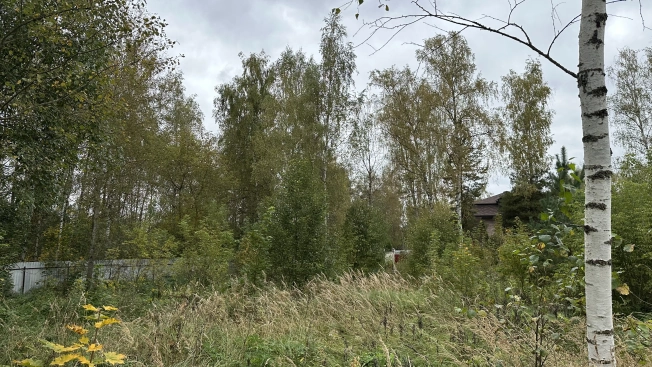 Купить земельный участок в Москве. Вариант № 5452727, 5, площадь -  квм, цена 4800000 рублей