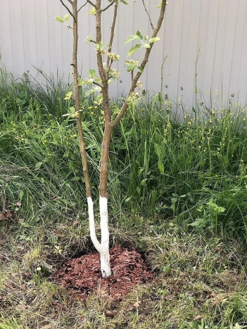 Купить дачу в Воскресенске. Вариант № 9584446, 15, площадь -  квм, цена 2000000 рублей