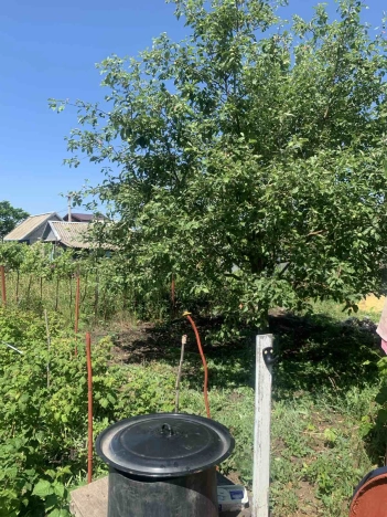 Купить дачу в Балакове. Вариант № 9463, 11, площадь -  квм, цена 850000 рублей